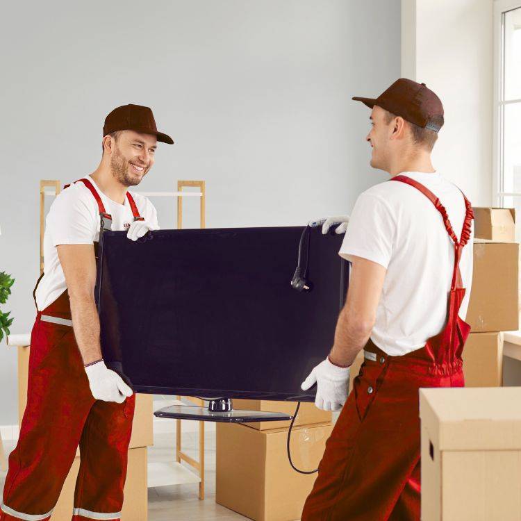 Trusted movers and packers in Dubai providing stress-free moving